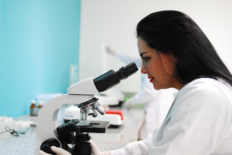AI Under the Microscope: The Rise of AI Audit Services